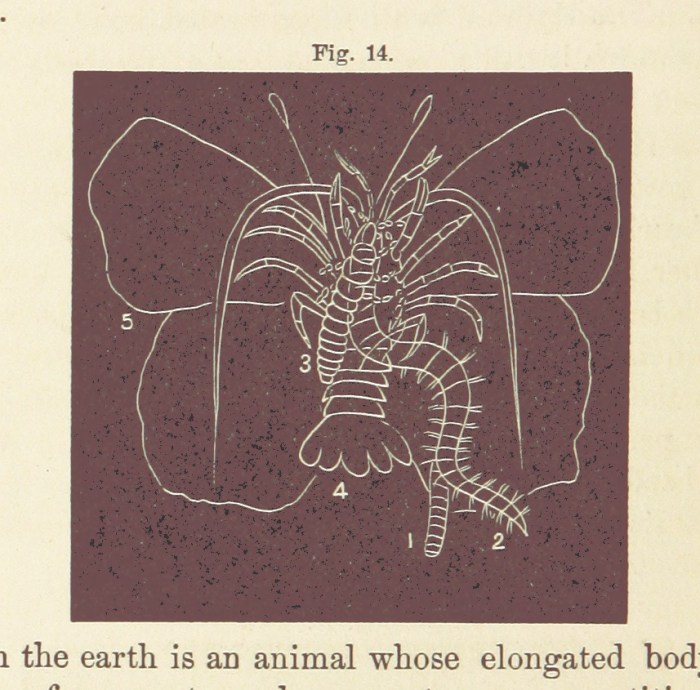 Courtesy of The British Museum