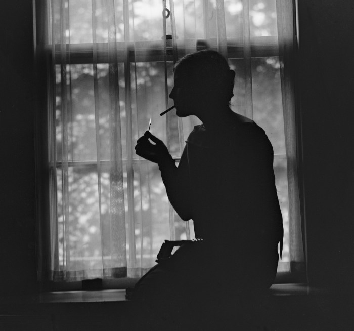 shutterstock_239405380