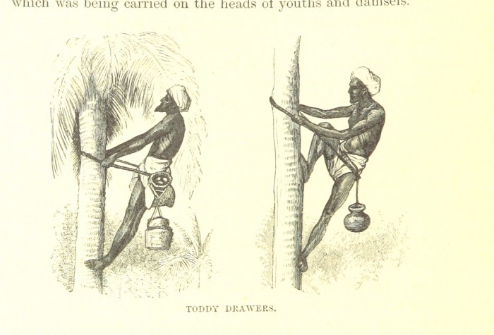 11251108685_532e85eab8_b